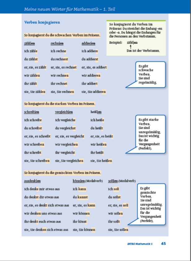 Probeseite INTRO Mathematik 1