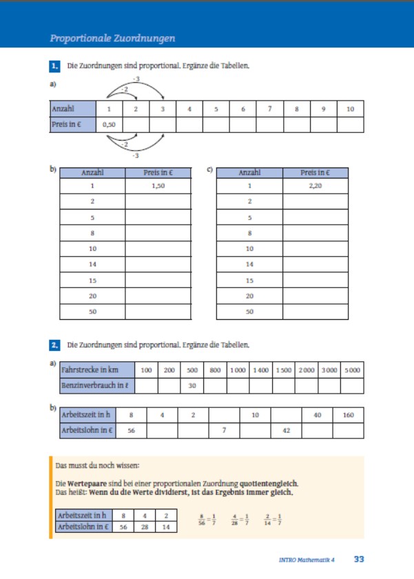 Probeseite INTRO Mathematik 4